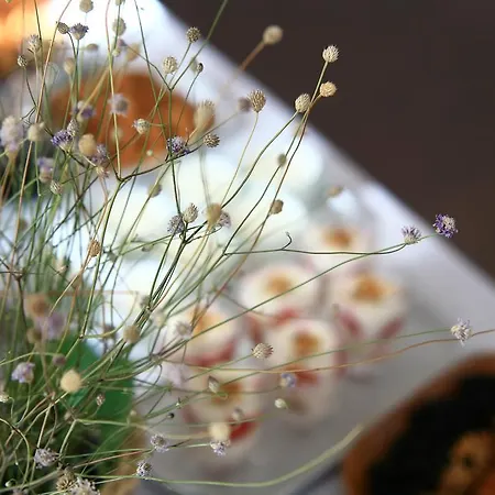 Cunda Lena Pensjonat